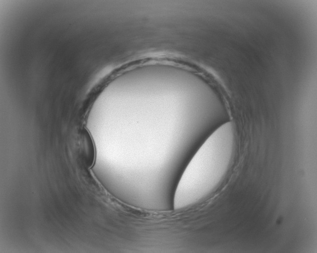 X0000082691263200701260945
