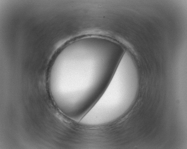 X0000082691264200701260945