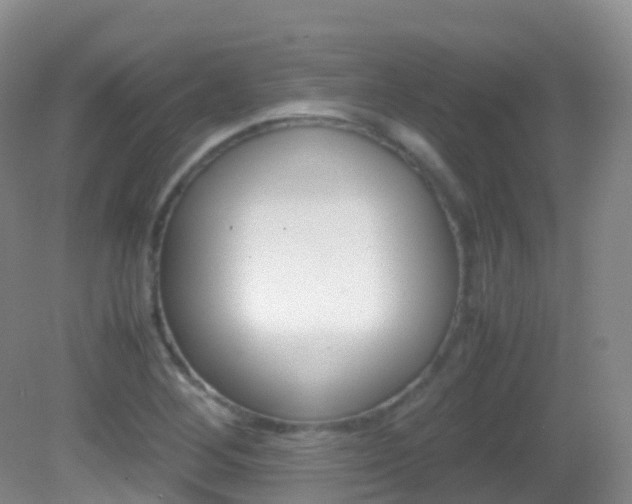 X0000082691268200701260945