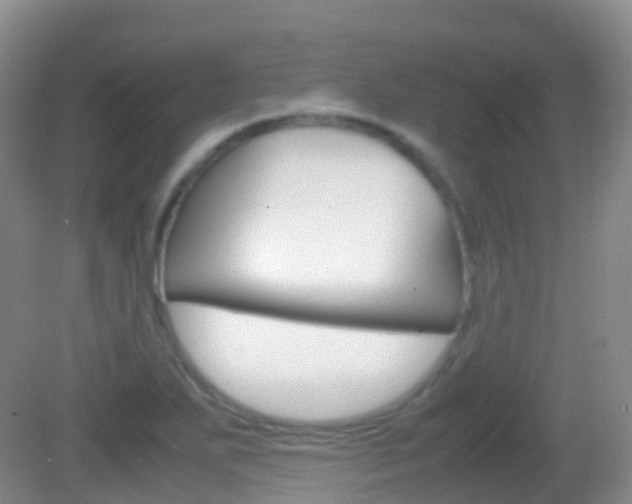 X0000082691271200701260945