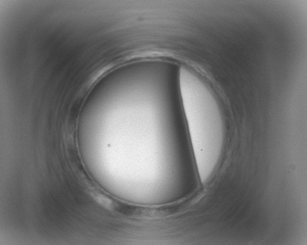 X0000082691273200701260945
