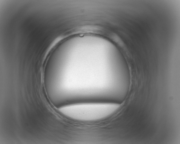 X0000082691275200701260945