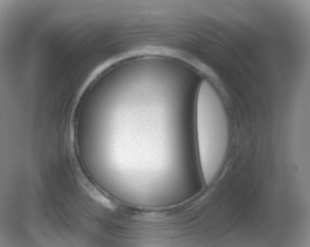 X0000082691280200701260945
