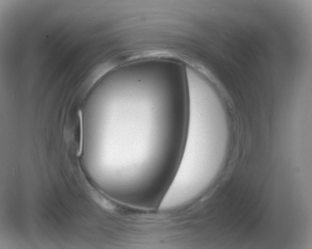 X0000082691281200701260945