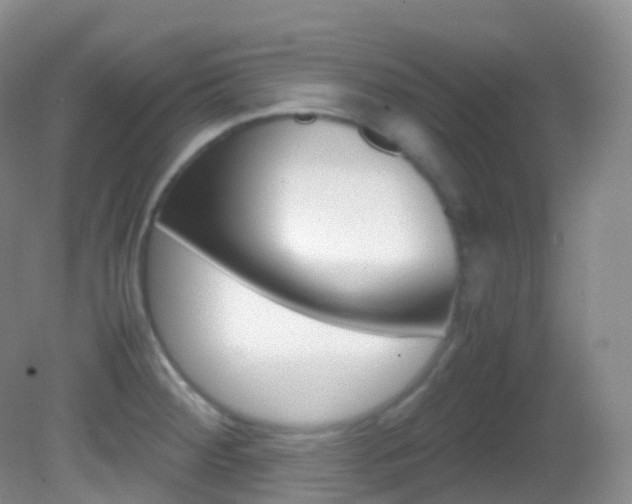 X0000082691284200701260945