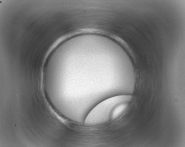 X0000082691286200701260945