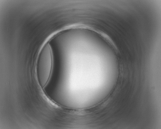 X0000082691288200701260945