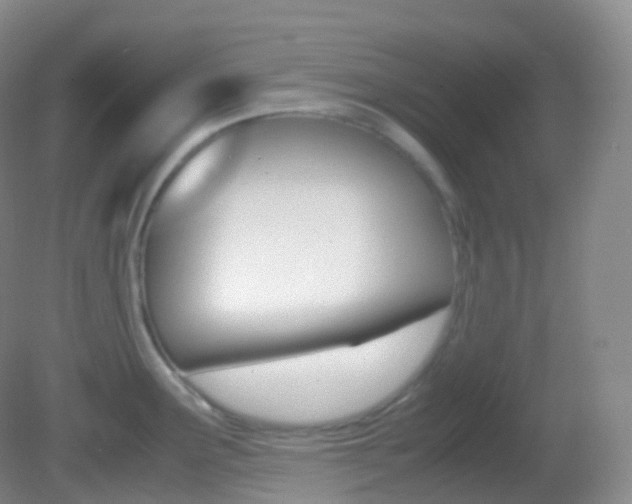 X0000082691291200701260945