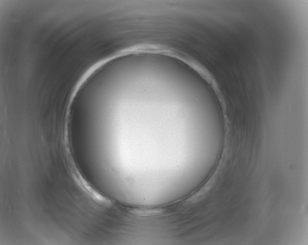 X0000082691296200701260945