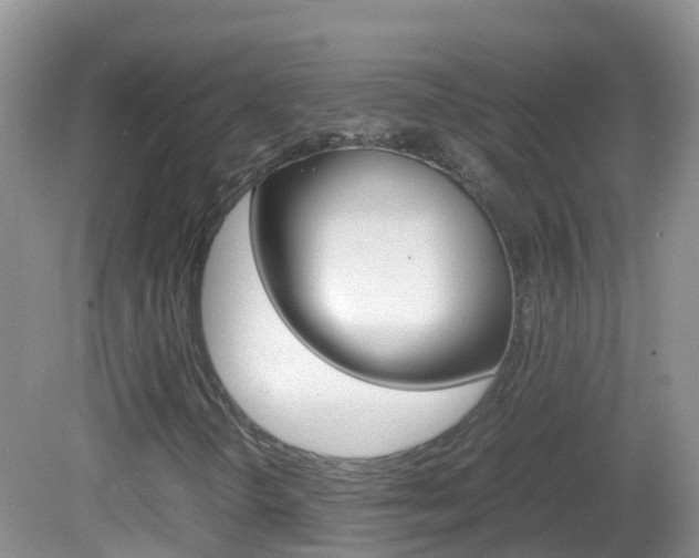 X0000082691298200701260944