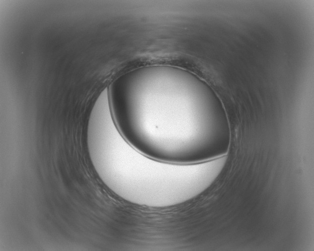 X0000082691300200701260944