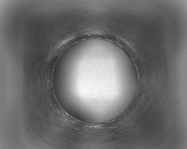 X0000082691303200701260944