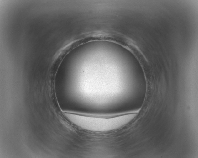 X0000082691304200701260944