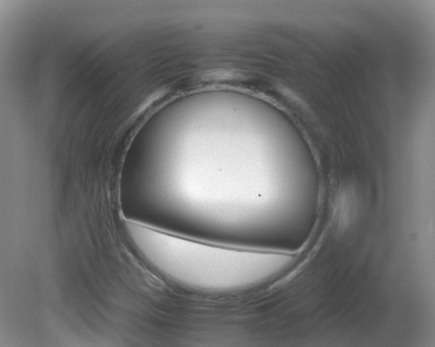 X0000082691305200701260944