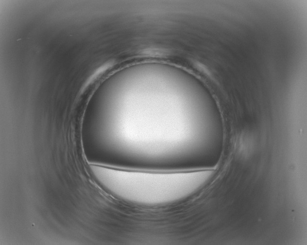 X0000082691307200701260944