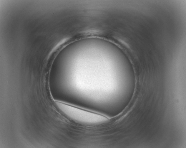 X0000082691309200701260944