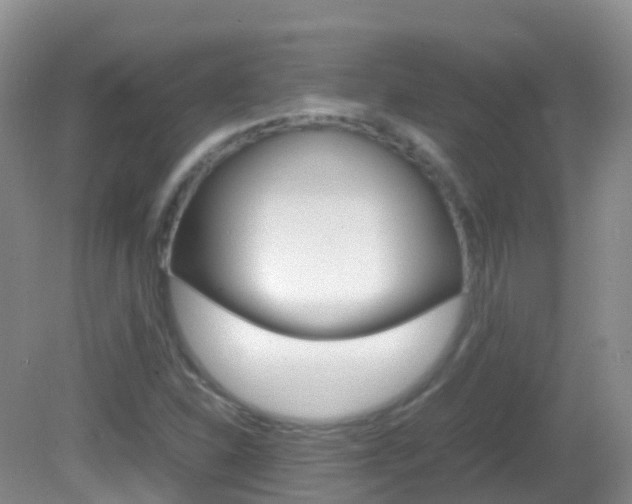 X0000082691310200701260944