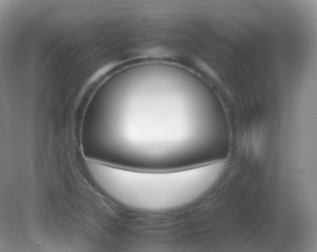 X0000082691315200701260944