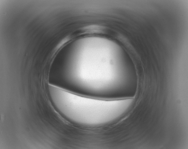 X0000082691321200701260944