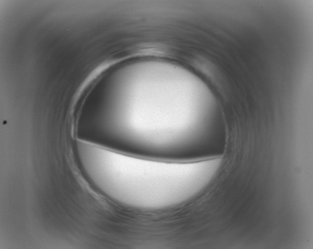 X0000082691323200701260944