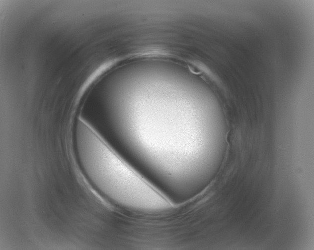 X0000082691325200701260944