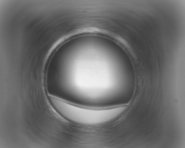 X0000082691326200701260944