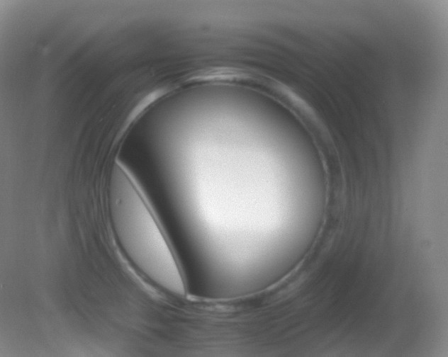 X0000082691329200701260944