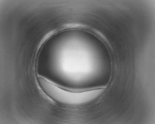 X0000082691330200701260944