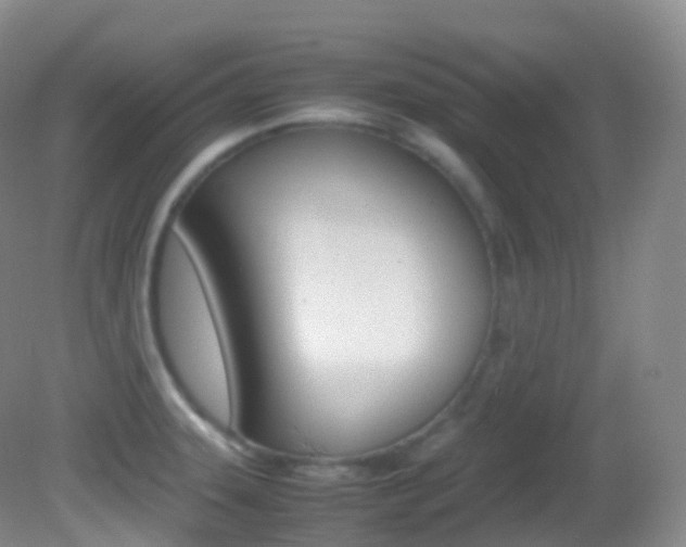 X0000082691331200701260944