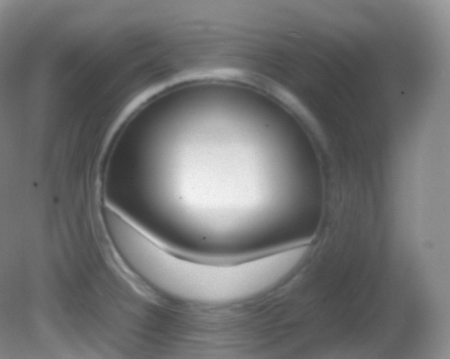 X0000082691332200701260944