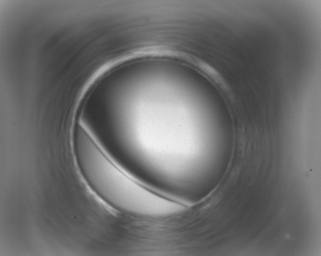X0000082691334200701260944