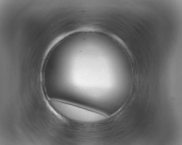 X0000082691335200701260944