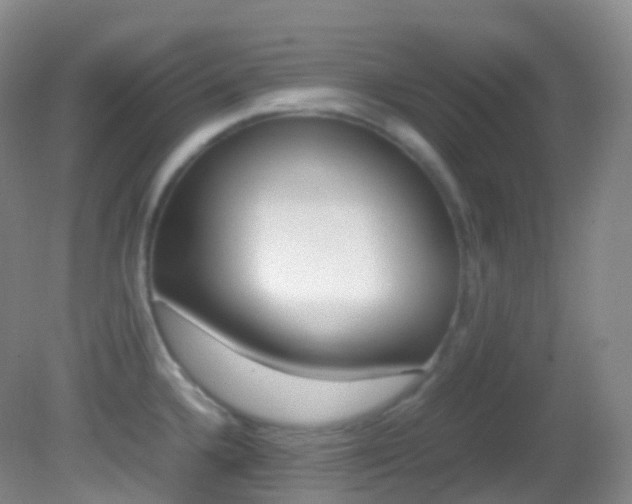 X0000082691336200701260944