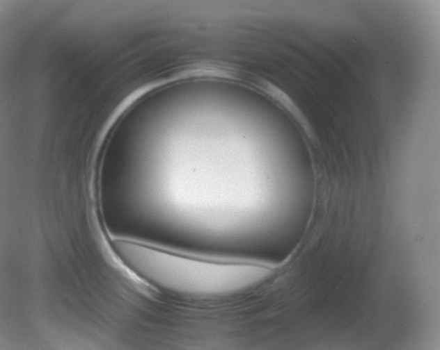 X0000082691339200701260945