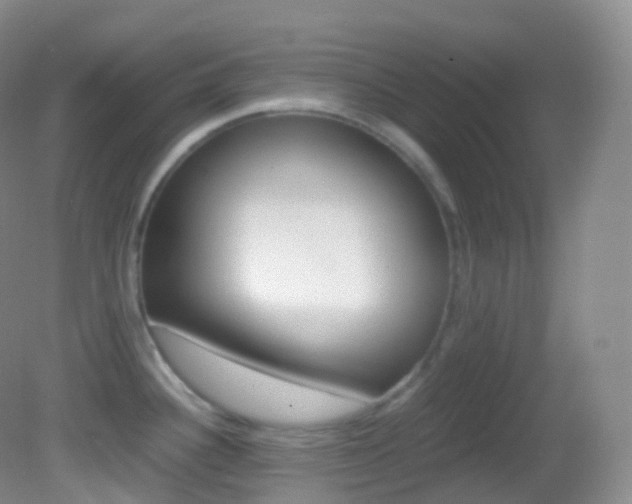 X0000082691340200701260945