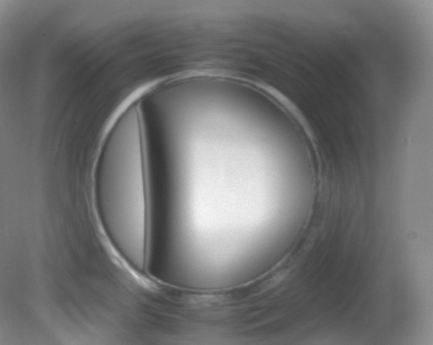 X0000082691341200701260945