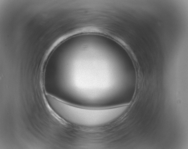 X0000082691342200701260945