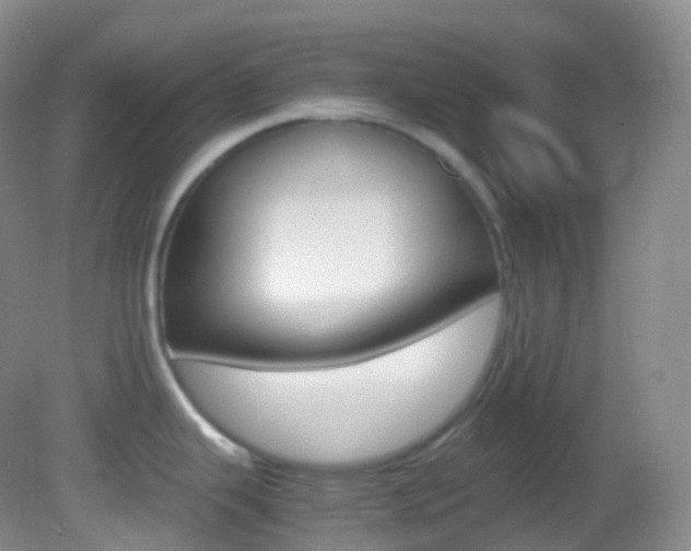 X0000082691343200701260945