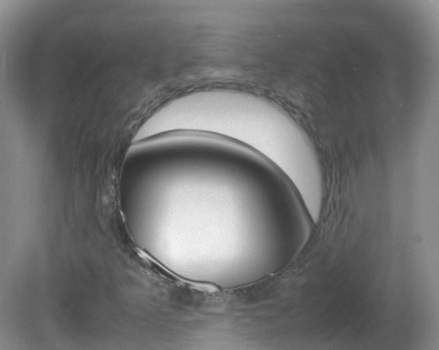 X0000082691349200701260944