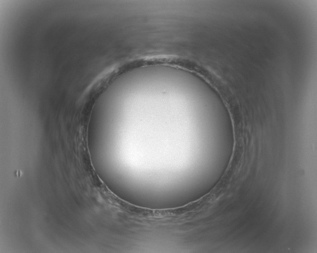 X0000082691351200701260944