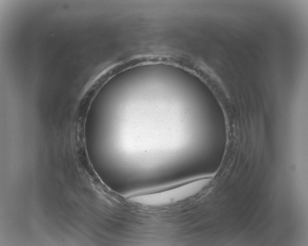 X0000082691352200701260944
