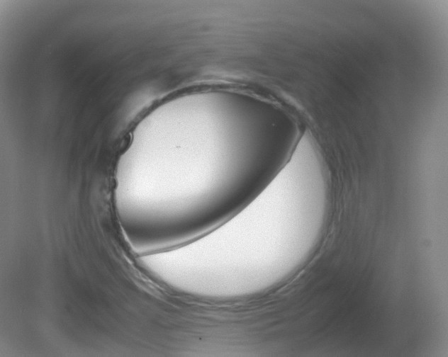 X0000082691355200701260944