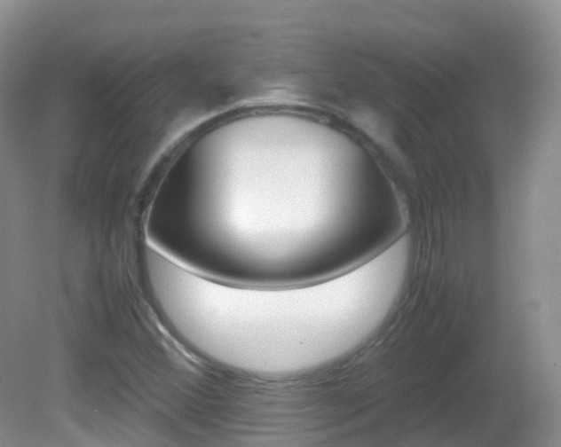X0000082691356200701260944