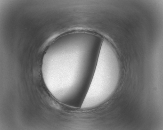 X0000082691359200701260944