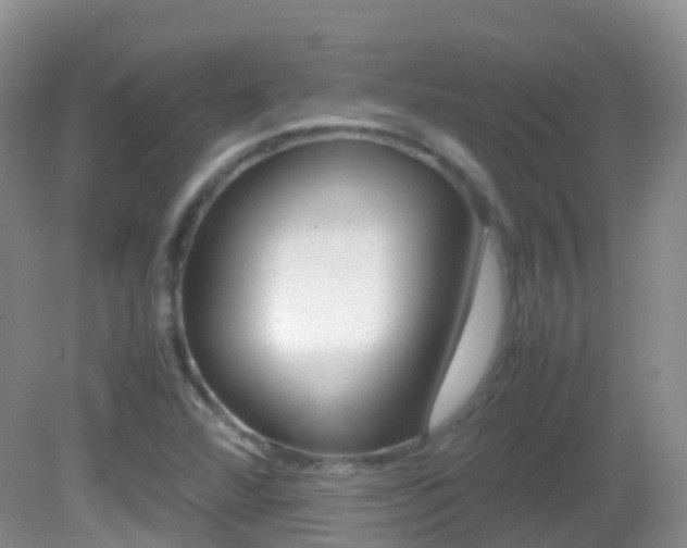 X0000082691360200701260944