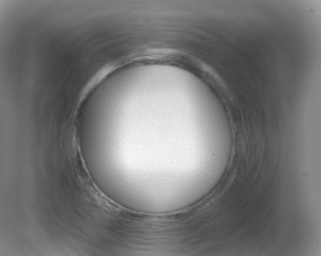 X0000082691362200701260944