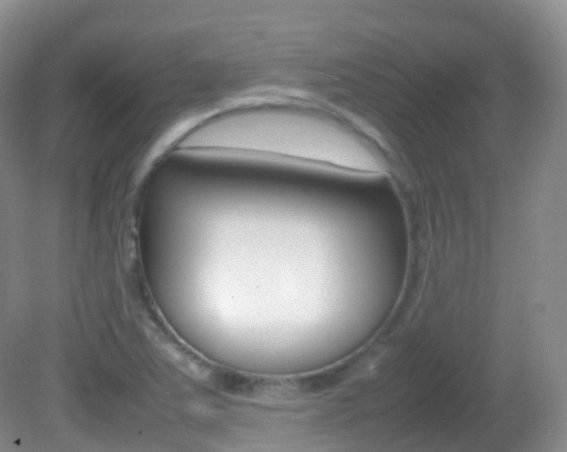 X0000082691363200701260944
