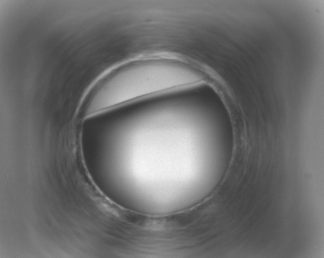 X0000082691364200701260943