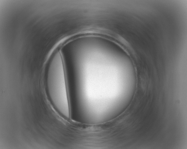 X0000082691368200701260943