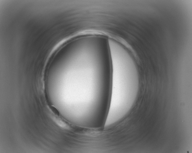 X0000082691372200701260943